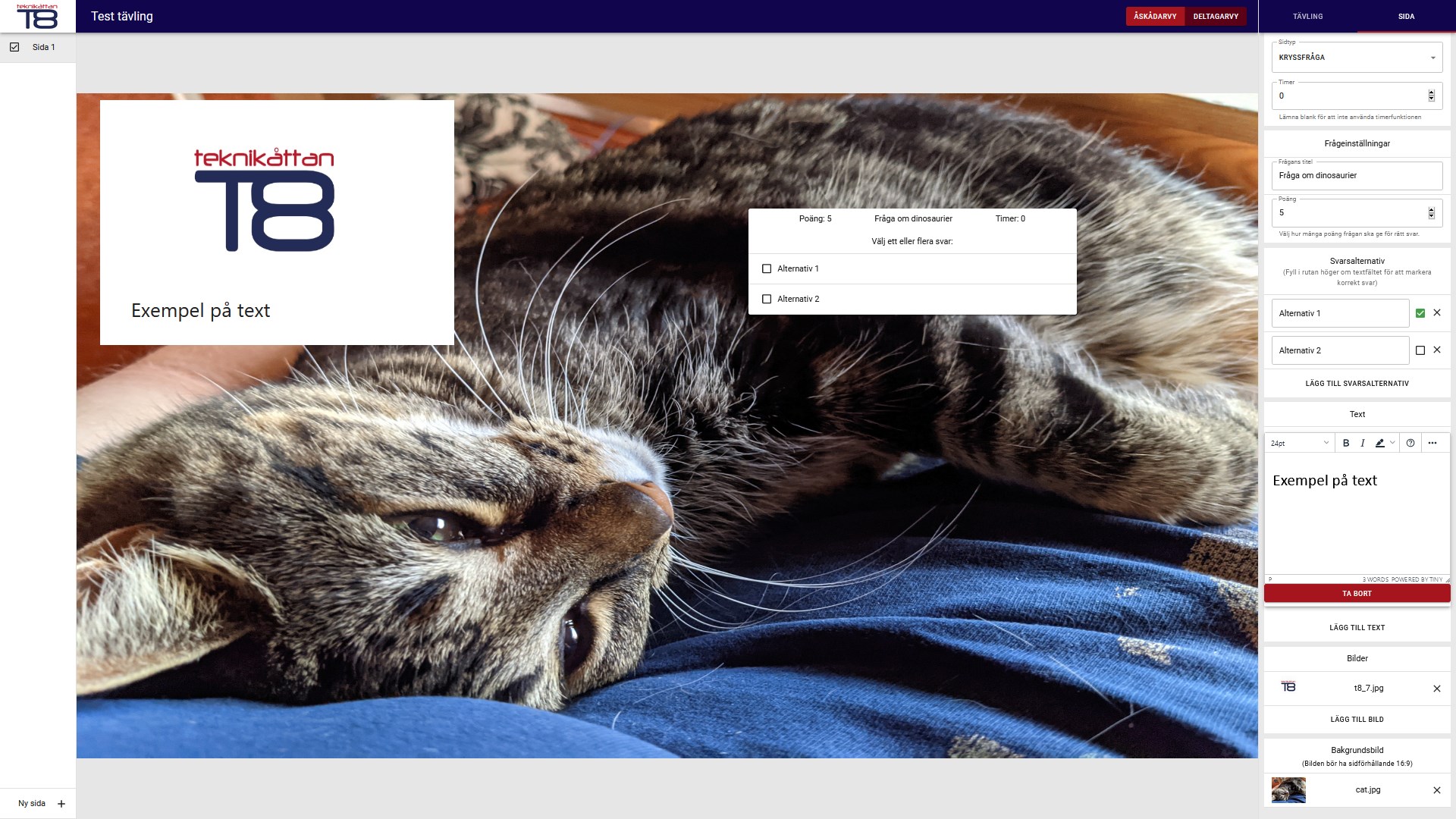 Editor with slide tab open